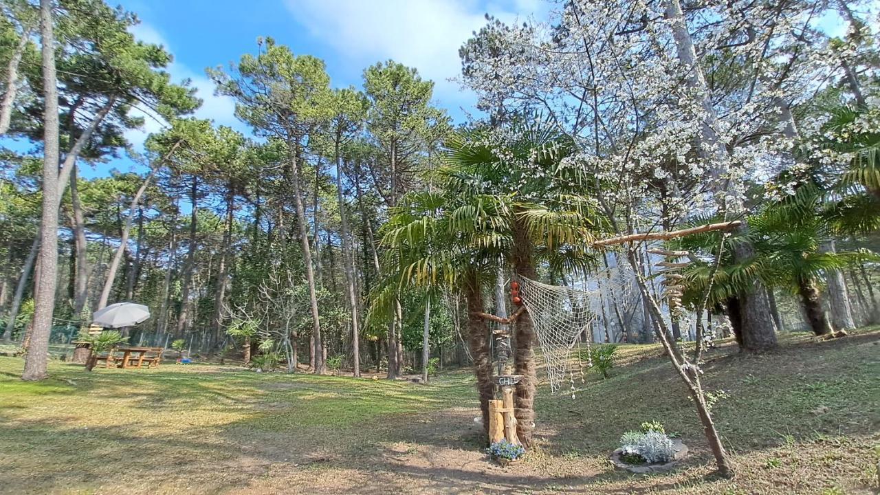 Villa Barbara Fra I Pini Lignano Sabbiadoro Exterior foto